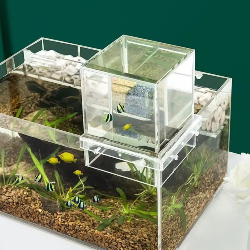 Landscaping Negative Pressure  - Marine Aquarium With Sump recension och pris