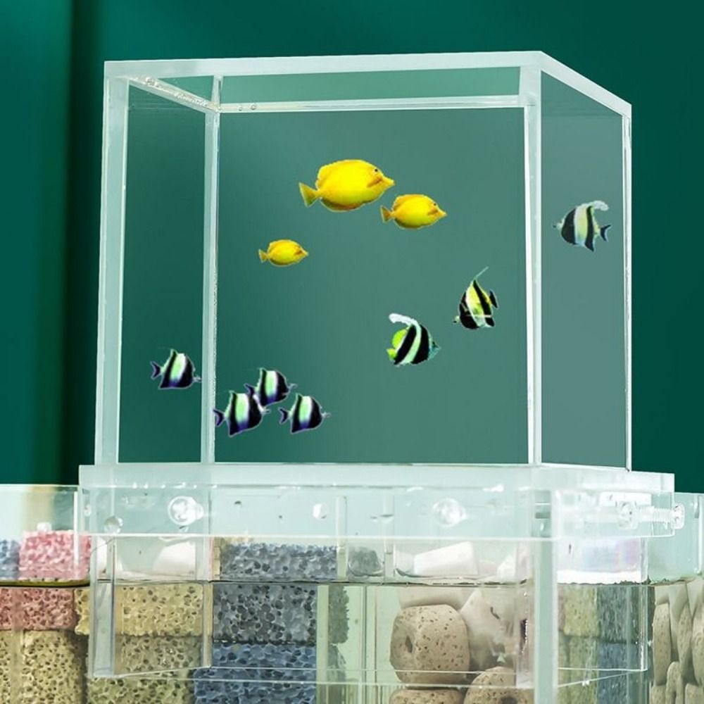 Landscaping Negative Pressure  - Marine Aquarium With Sump recension och pris