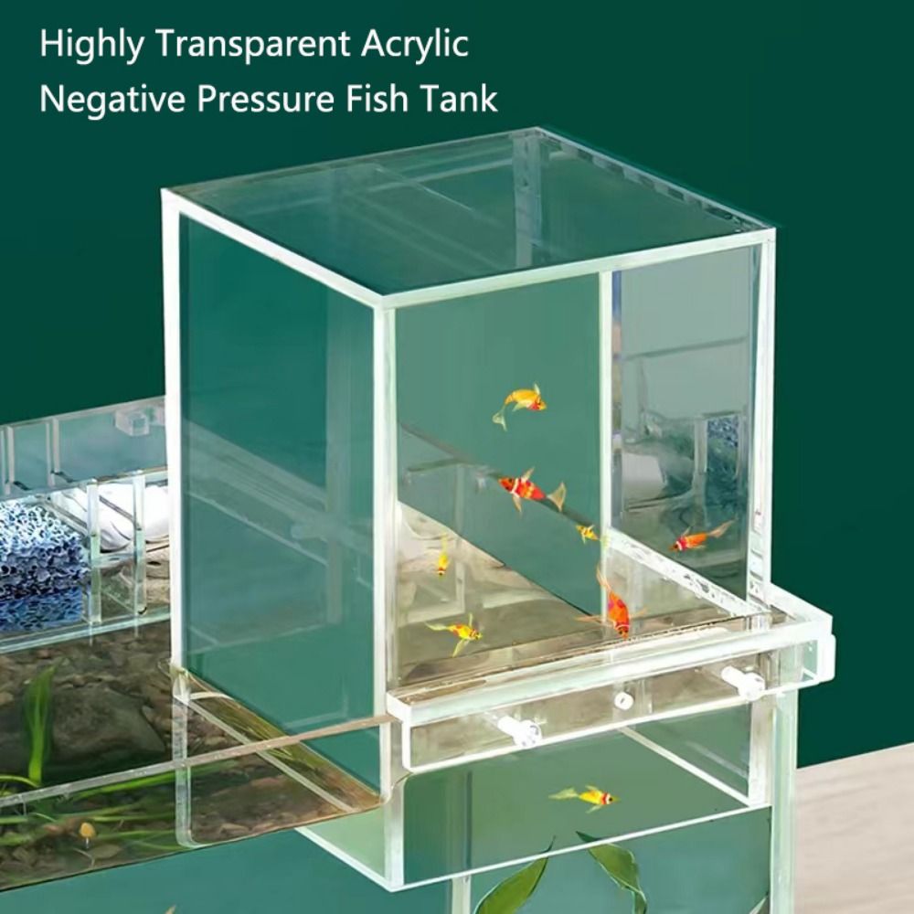 Landscaping Negative Pressure  - Marine Aquarium With Sump recension och pris