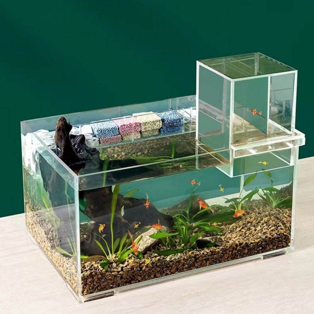Landscaping Negative Pressure  - Marine Aquarium With Sump recension och pris