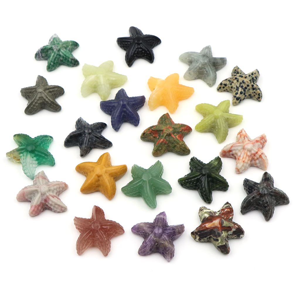 35mm Starfish Shape Statue Mar - Marine Aquarium & Regional Centre recension och pris