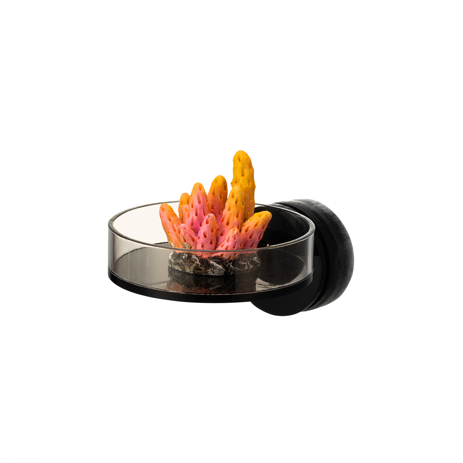 Marine Sources 70mm Black Magn - Marine Aquarium & Regional Centre recension och pris